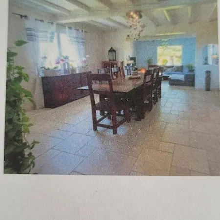 Palmeraie